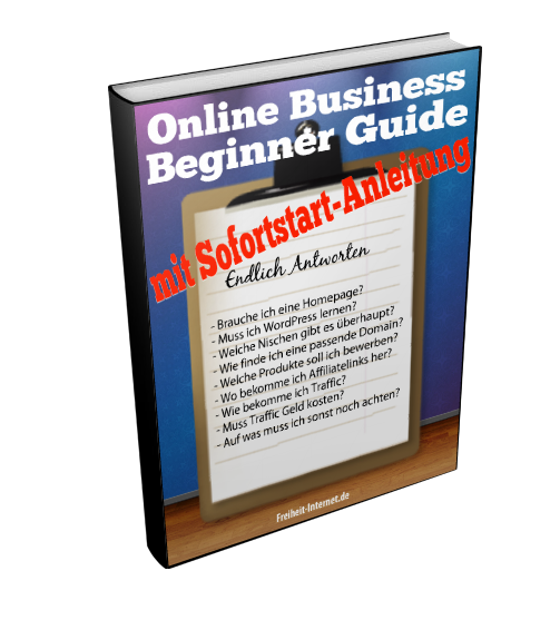 online business beginner guide